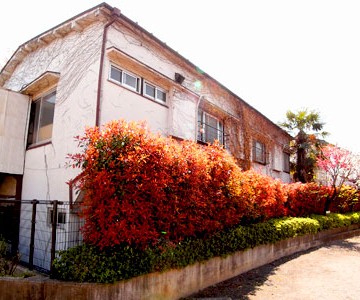 listing_type